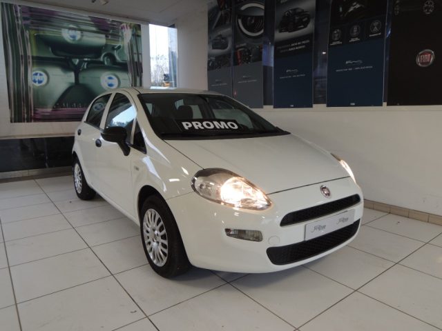 FIAT Punto 1.2 8V 5 porte Street 