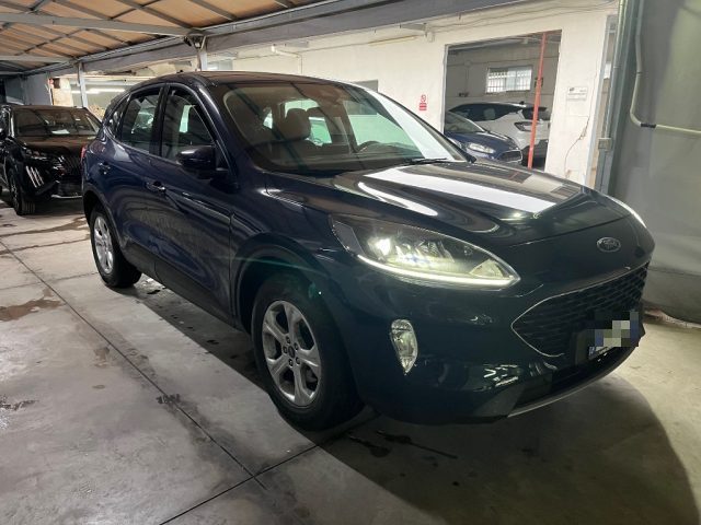 FORD Kuga 1.5 EcoBlue 120 CV aut. 2WD 