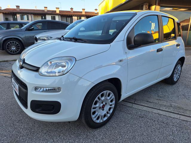 FIAT Panda 1.2 Easy OK X NEOPATENTATI  N°FY852 