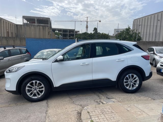 FORD Kuga 1.5 EcoBlue 120 CV aut. 2WD ST-Line 