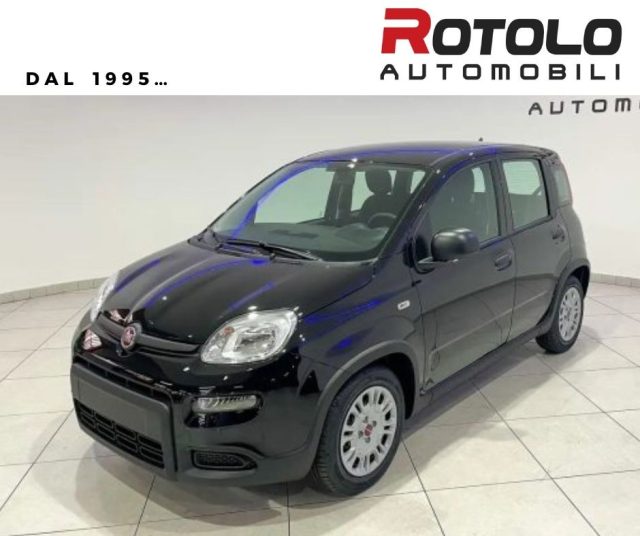 FIAT Panda Nero pastello