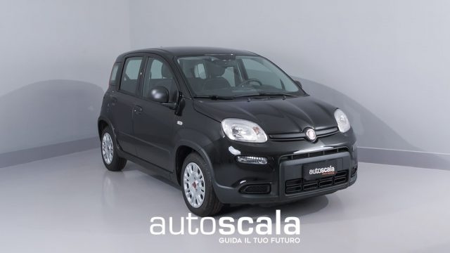 FIAT Panda 1.0 FireFly S&S Hybrid (rottamazione euro 4) 