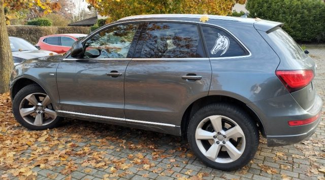 AUDI Q5 3.0 V6 TDI 250 CV clean diesel qu. S tronic Advanc 