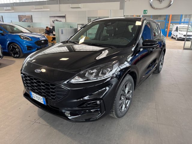 FORD Kuga 1.5 EcoBlue 120 CV aut. 2WD ST-Line 