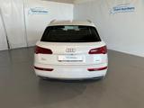 Q5 50 TDI quattro tiptronic Business Design