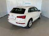 Q5 50 TDI quattro tiptronic Business Design