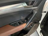 Q5 50 TDI quattro tiptronic Business Design