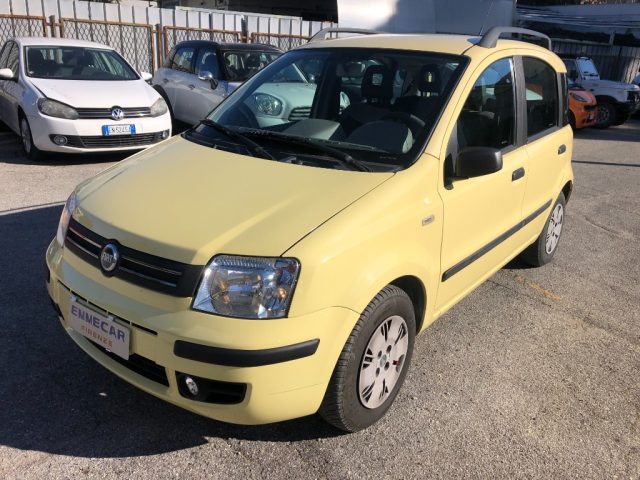 FIAT Panda 1.2 Dynamic Usato