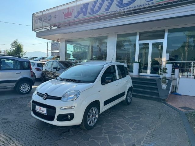 FIAT Panda Bianco pastello