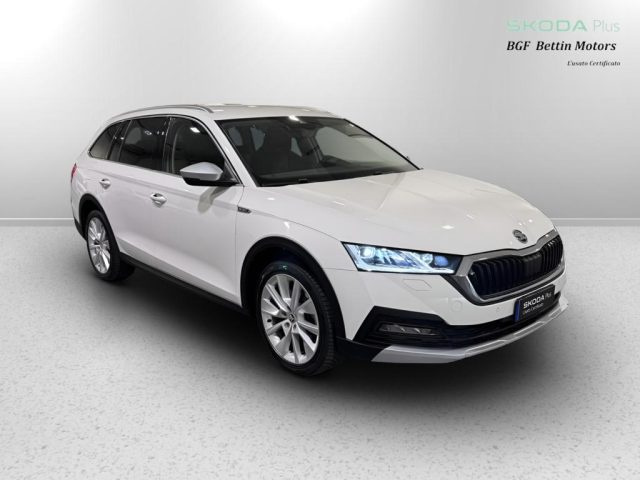 SKODA Octavia Wagon 2.0 tdi evo scr Scout 4x4 200cv dsg 