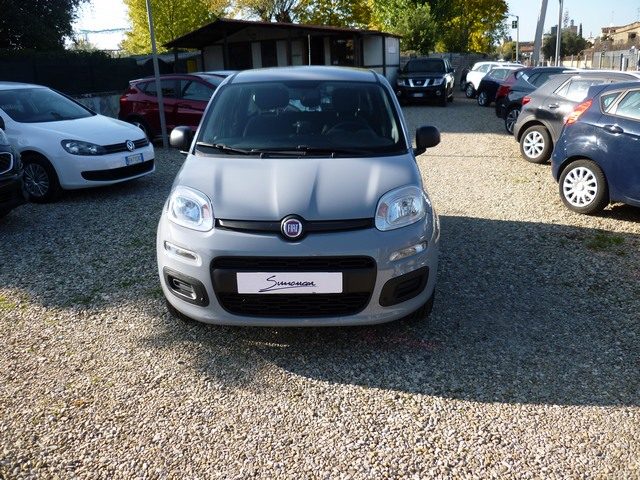 FIAT Panda 1.2 Easy Usato