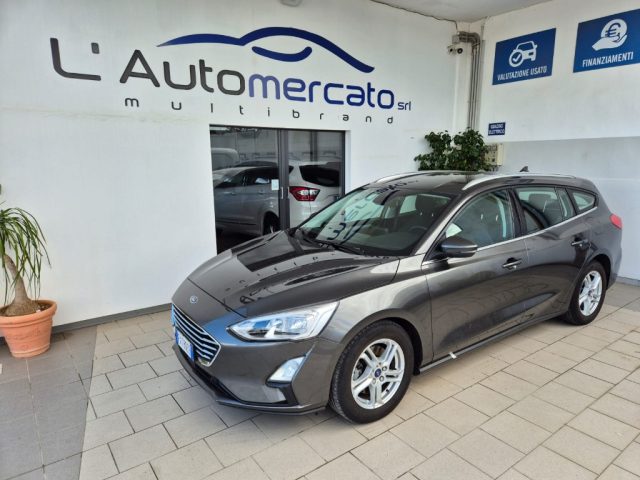 FORD Focus 1.5 EcoBlue 120 CV SW Business Usato