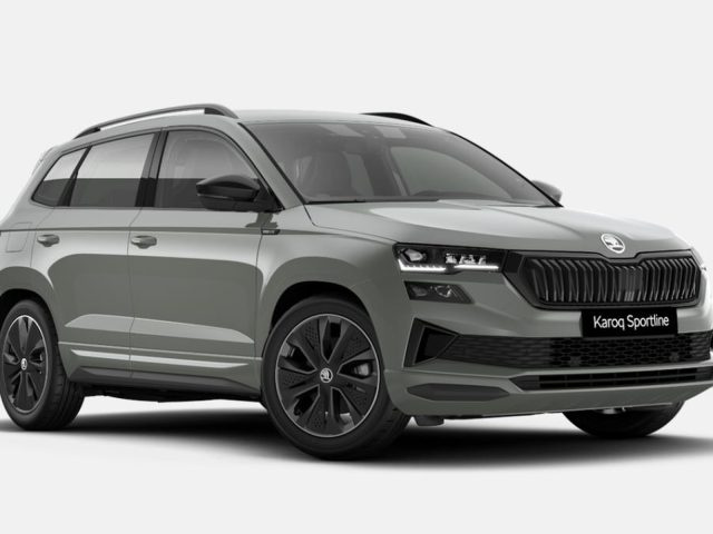 SKODA Karoq Grigio pastello