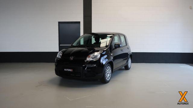 FIAT Panda 1.0 FireFly S&S Hybrid per neopatentati 