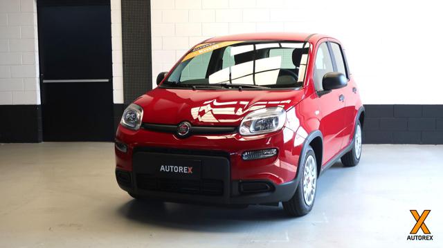 FIAT Panda 1.0 FireFly S&S Hybrid per neopatentati 