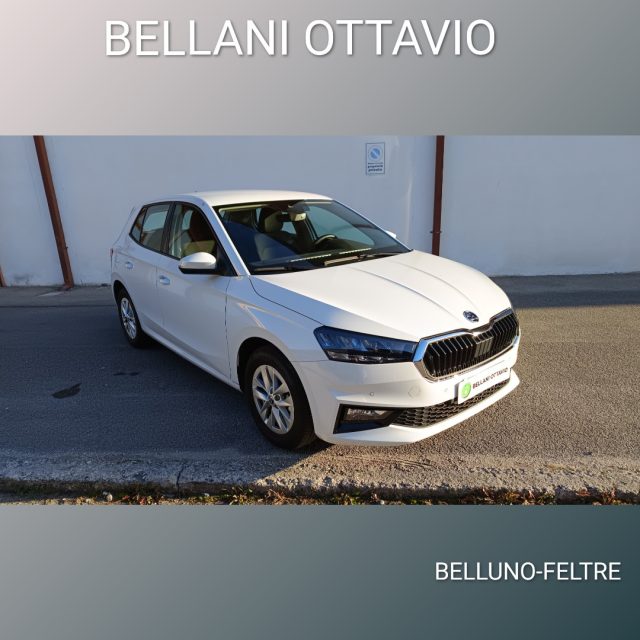 SKODA Fabia Bianco metallizzato