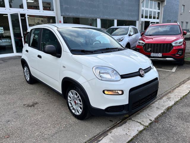 FIAT Panda Bianco pastello