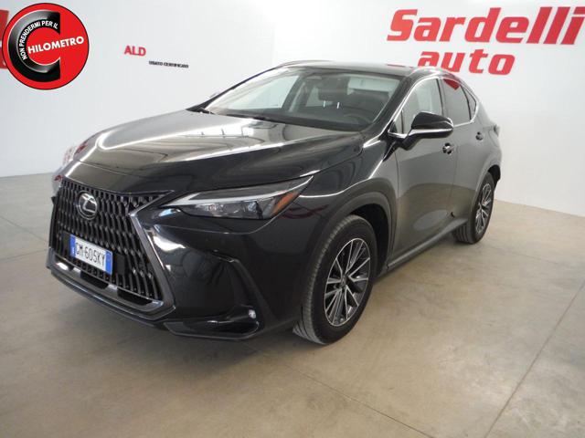 LEXUS NX 300h NX Hybrid 4WD Premium (243 cv) 