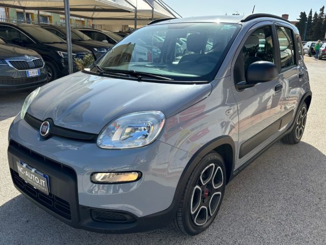 FIAT Panda Grigio pastello