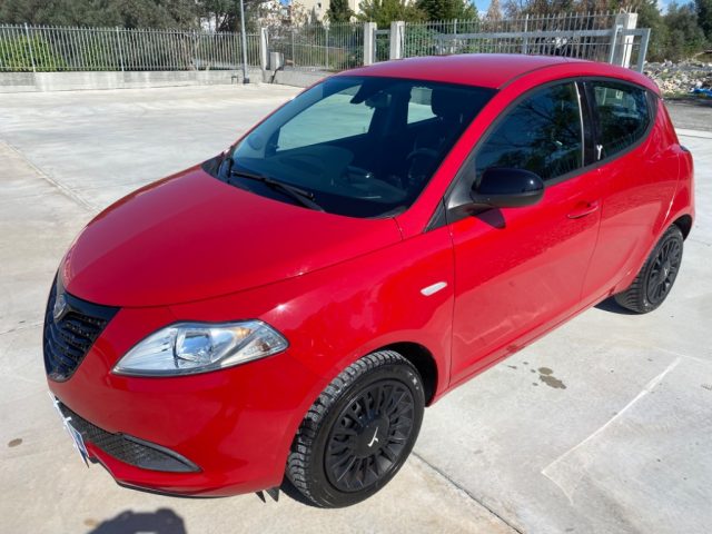 LANCIA Ypsilon 1.2 69 CV 5 porte Elefantino Usato