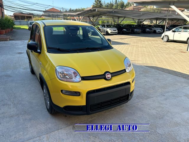 FIAT Panda Giallo pastello