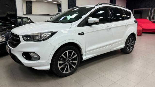 FORD Kuga Bianco pastello