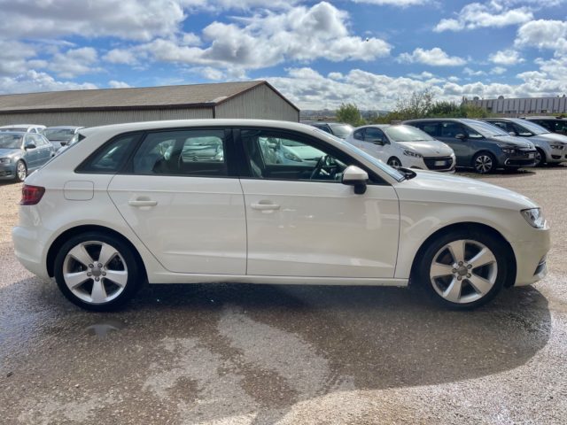 AUDI A3 1.6 TDI 105CV Usato