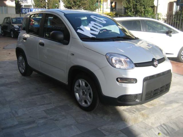 FIAT New Panda 1.0 FIREFLY S-S HYBRID CITY LIFE 