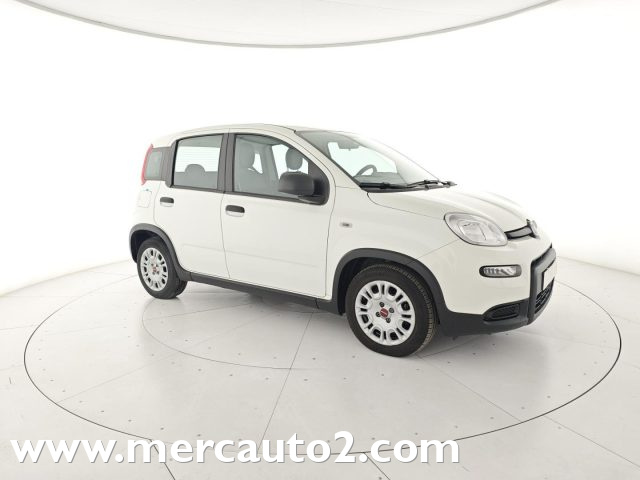 FIAT Panda Bianco pastello