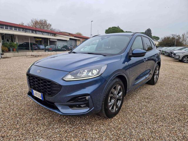 FORD Kuga 1.5 EcoBlue 120 CV aut. 2WD ST-Line X 