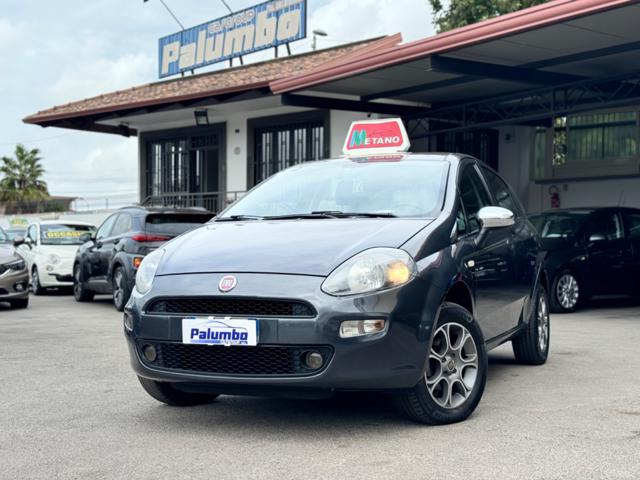 FIAT Punto 1.4 8V 5 porte Natural Power Lounge 