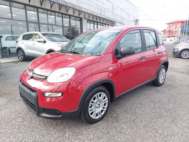 FIAT Panda 1.0 FireFly S&S Hybrid con ADAS 