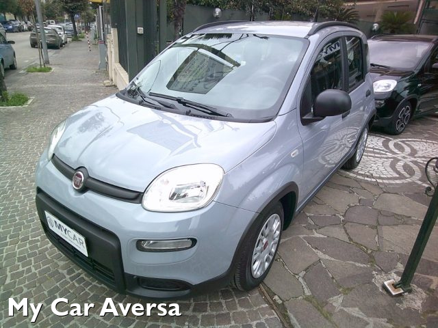 FIAT Panda Grigio pastello