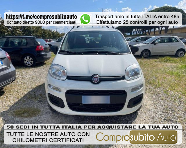 FIAT Panda White metallized