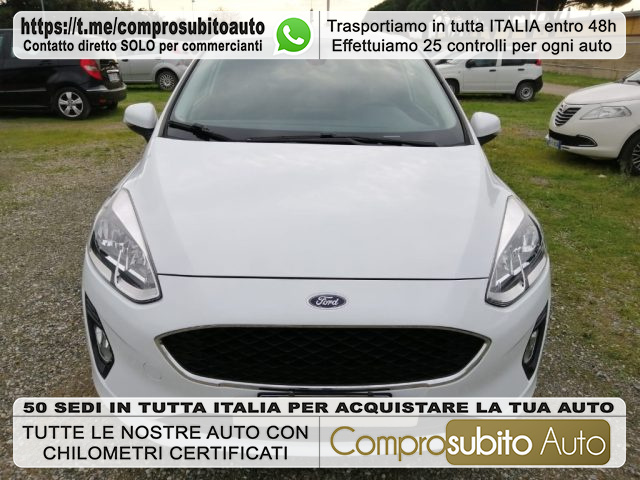 FORD Fiesta White metallized