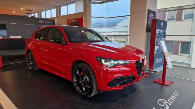 ALFA ROMEO Stelvio 2.2 Turbodiesel 210 CV AT8 Q4 Tributo Italiano 