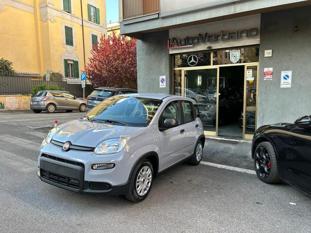 FIAT Panda Grigio pastello