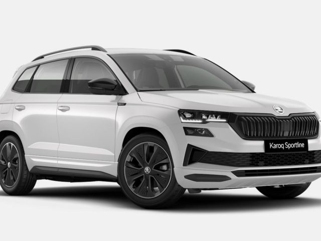 SKODA Karoq Bianco metallizzato