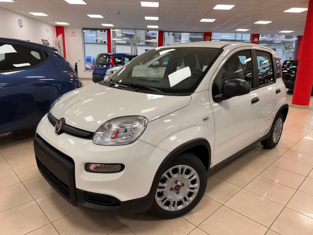 FIAT New Panda Bianco pastello