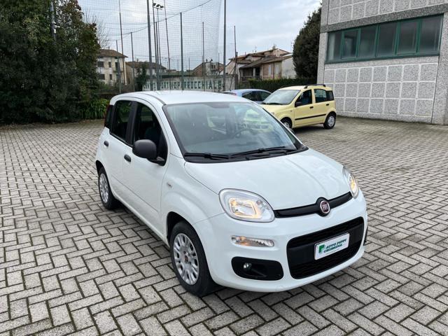 FIAT Panda Bianco pastello