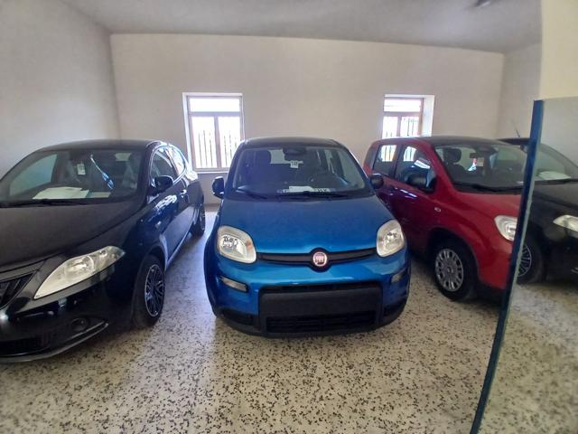 FIAT Panda Blu metallizzato