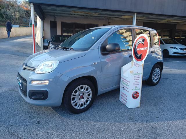 FIAT Panda Grigio pastello