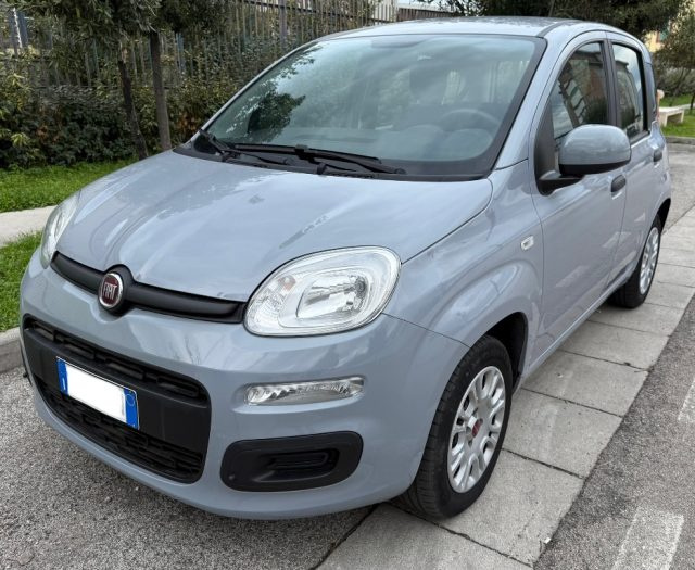 FIAT Panda Grigio pastello