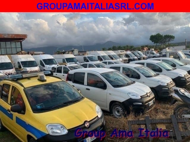 FIAT Panda Bianco pastello