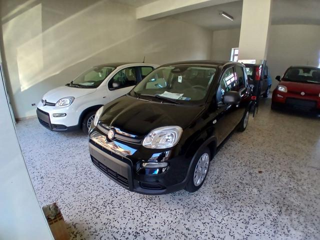 FIAT Panda Nero pastello