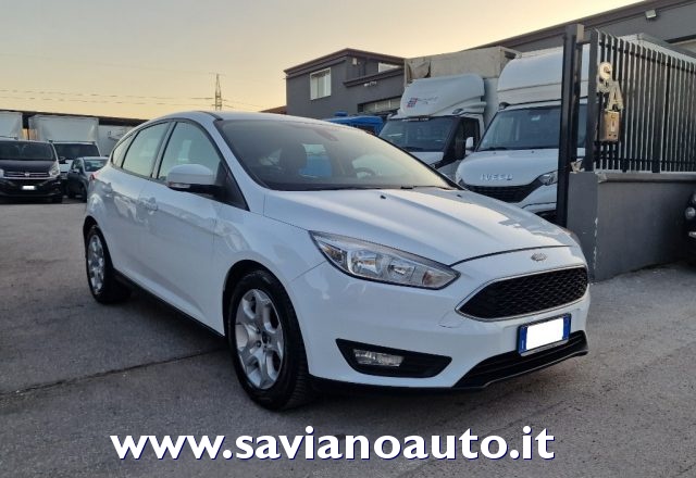 FORD Focus Bianco pastello