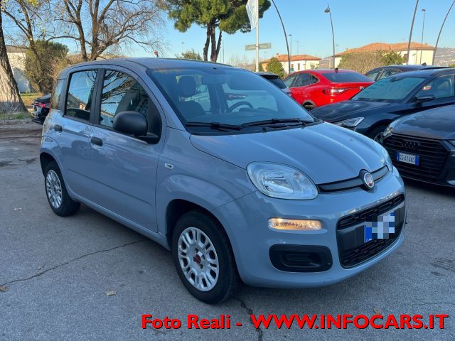 FIAT Panda Grigio pastello