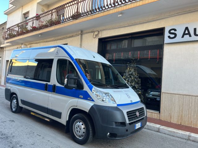 FIAT Ducato Bianco pastello