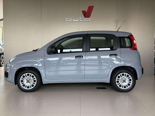 FIAT Panda Grigio Moda pastello