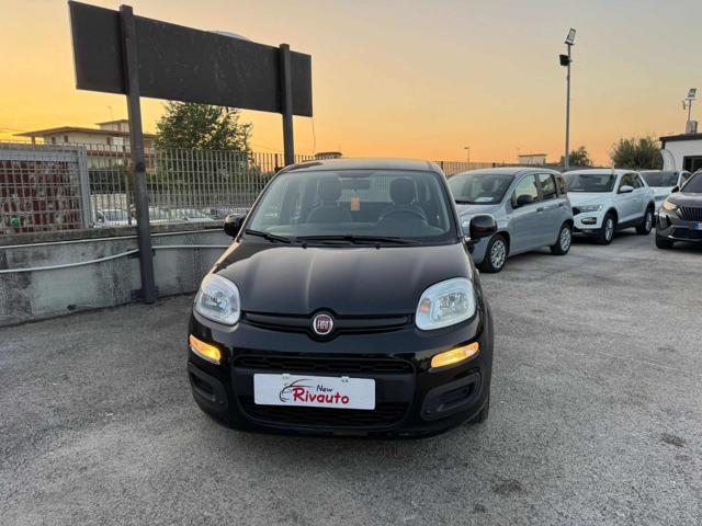 FIAT Panda Nero pastello